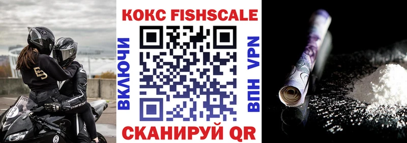 COCAIN Fish Scale  Артёмовск 