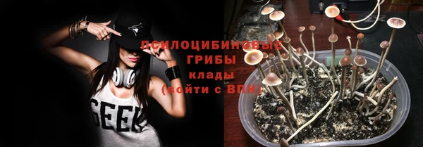 молекула духа Армянск