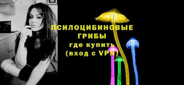молекула духа Армянск