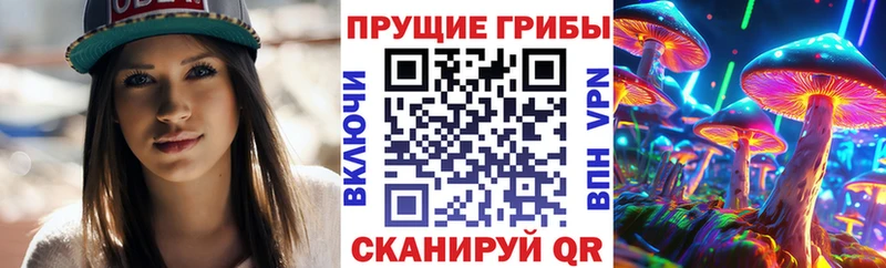 Псилоцибиновые грибы Psilocybe Артёмовск